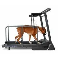 Беговая дорожка Oxygen RIVIERA II HRC+ DOGGIE EDITION