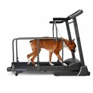 Беговая дорожка Oxygen LAGUNA II DOGGIE EDITION